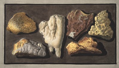 Proben von vulkanischem Material aus dem Inneren des Kraters des Vesuvs, Tafel XXXXIV, aus 